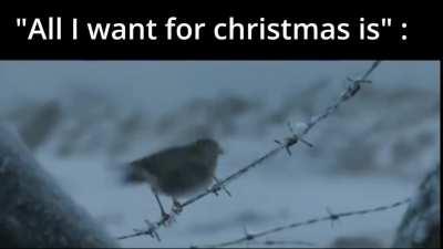 Christmas truce of 1914, Happy holidays everyone.