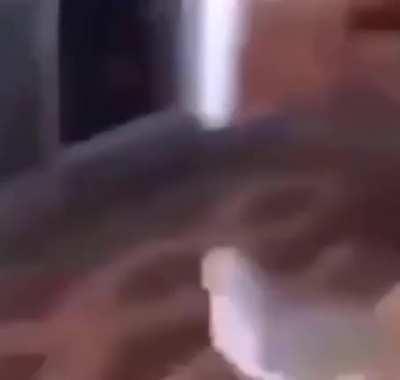 IS THAT THE BITTE OF 87?