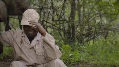 🔥 A young elephant hears his name and decides to interrupt an interview 