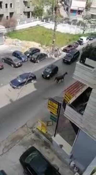 Well that didn’t end well.