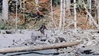 Stabilized and cleaned version of the Bigfoot.