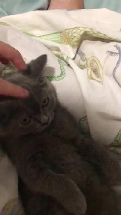 brazen criminal Marnie surprised with affection and forehead kiss