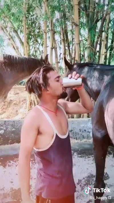 Same as milking a cow...