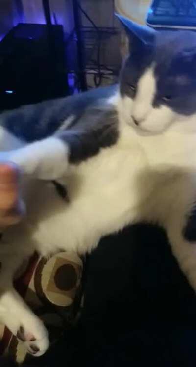 High Five Of The Week