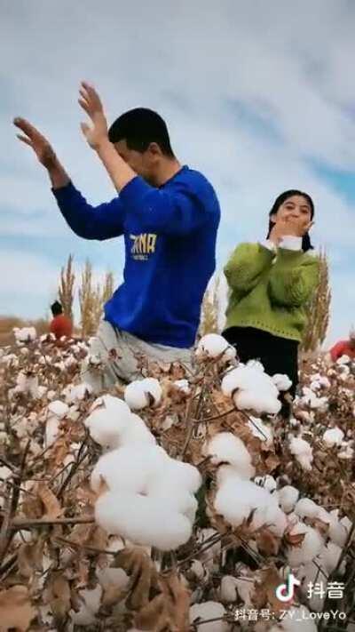 新疆人的魅力，你永远不懂