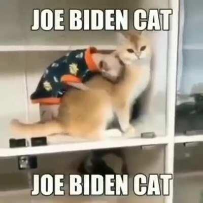 Joe