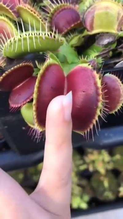 What Would You Expect?