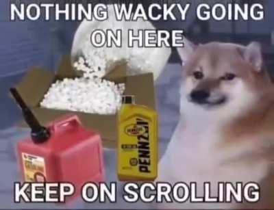 Hello chads can someone send me that clip of the Indian kid from Phineas and Ferb that crushes discord so that I can join a furry server tag them all with that clip and crush their discord and then quit their server