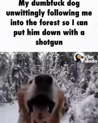 Heccin pupperino does a sploot 🥰🐶