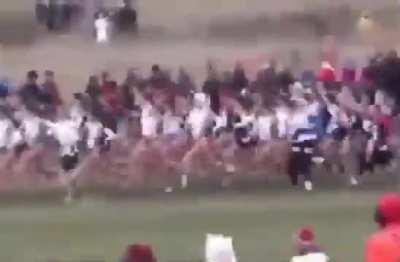 This shit funny as hell 