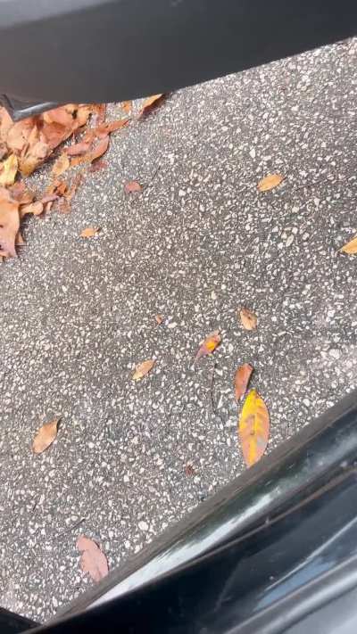 Changed the plugs and coils on my ‘14 a4 and now it’s making this noise (from the exhaust), what could be the problem?