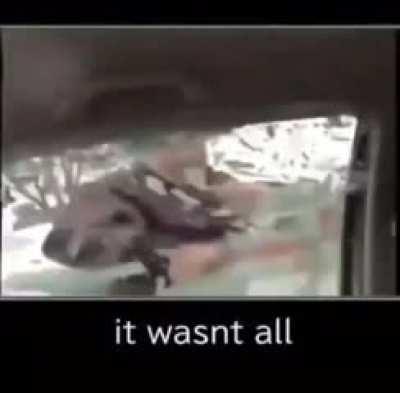 i think that it wasn't all