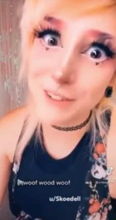 🐶🔫🧔🏽‍♂️