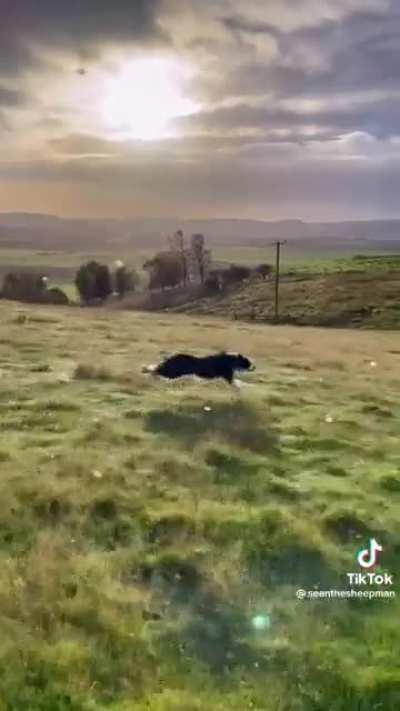 The cameraman made me Want to Run to get a pice of this heaven