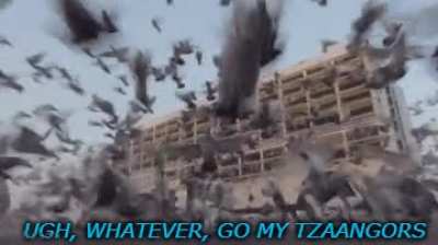 Your average sorcerer after having a bad day at the Mind Crushing Factory.