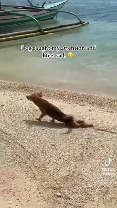 He caught my attention but .....