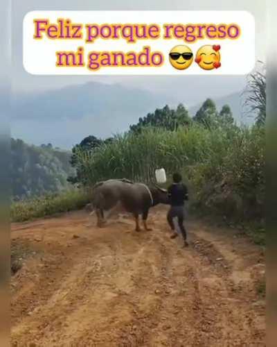 Cuando tu vieja te pone el cuerno y regresas feliz con ella 😉