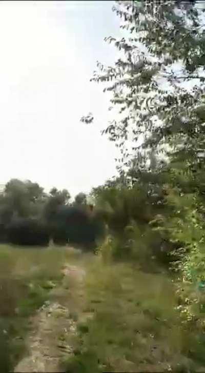 RU pov: Two Russian cruise missiles flying over Ukraine. 