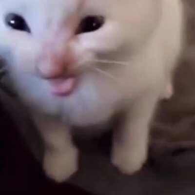 I see myself going through the streets