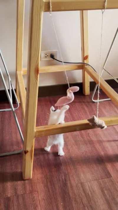 Gotta catch the snake.