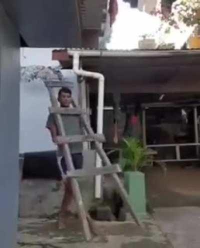 Impressive and accurate representation of today's fashion shows