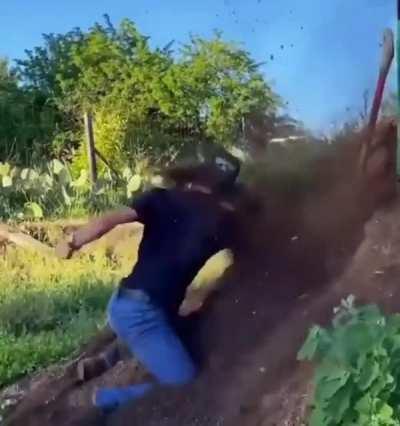 Cross-Post from r/gardening