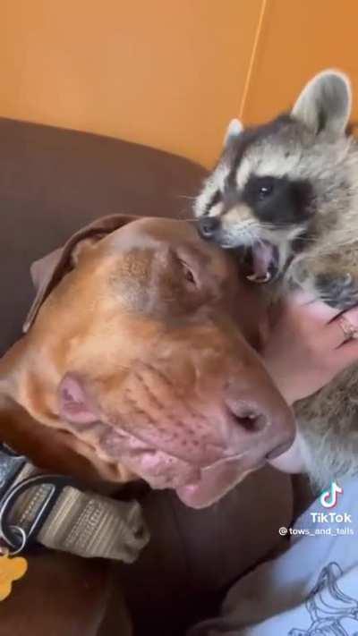 these two are best friends