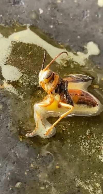 Hit em with some battery cleaner, at the shop. Felt like I watched a scene out of a movie.