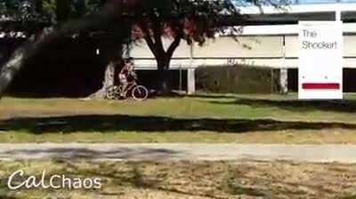 WCGW trying to steal a bike which has taser system installed in it..