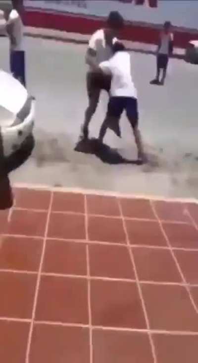 ShitpostBR - Video #1977