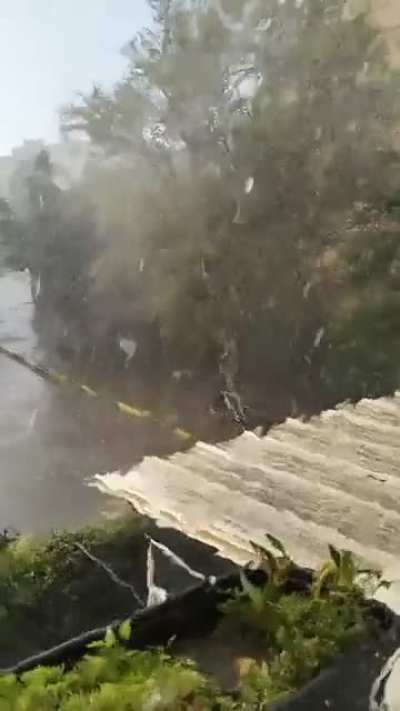 Rainy Afternoon in Lake Forest