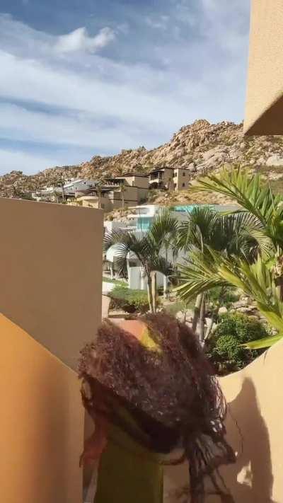 Mataya Sweeting - Cabo 💚 | IG post