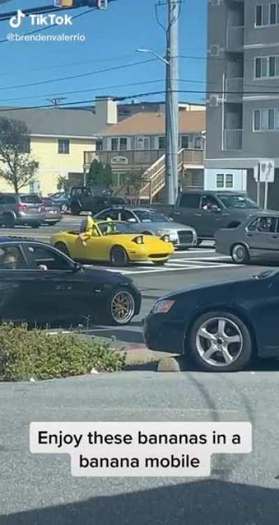 Es Orson con el genuino Plátano Torino???