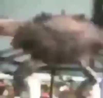 Erny entrenando no molestar.