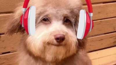 There Was A Boy The Age Of A Man And He Said Hold My Hand If You Can