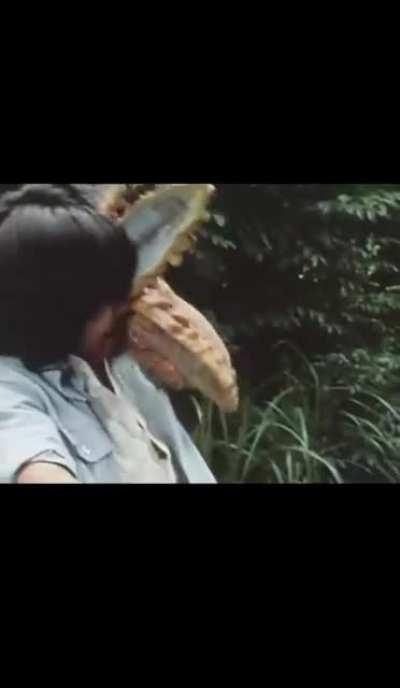 WTF did i just watch…