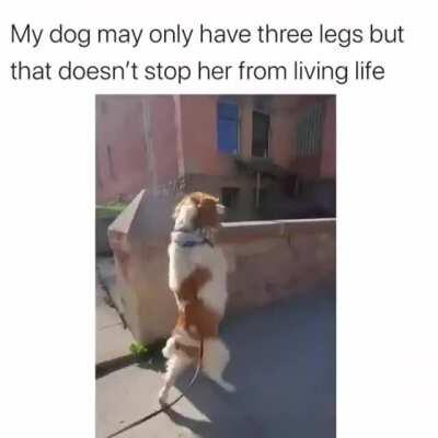 Okay, this did make me smile but someone has also been cutting onions. What an incredibly inspirational girl. She deserves ALL the treats!