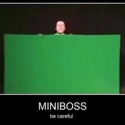 MINIBOSS (be careful)