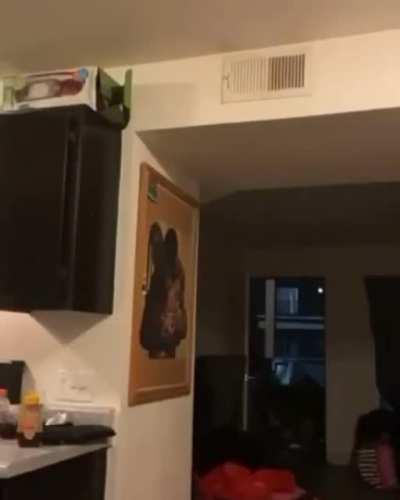 This could’ve been their last live