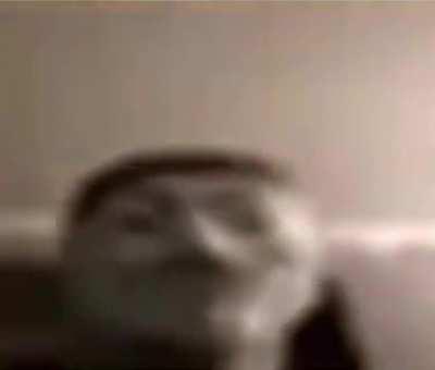 me when clicking 8 in fnf