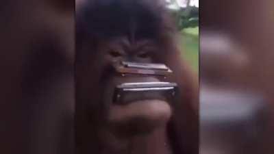 LIVE FOOTAGE OF THIS SUB IN ACTION