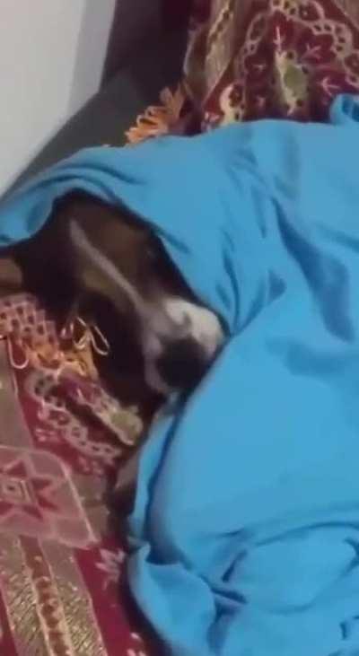 When you're sick of everything