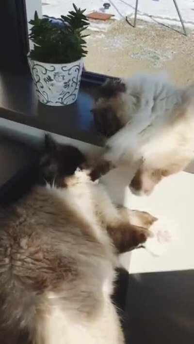 Take that and that aaaand that