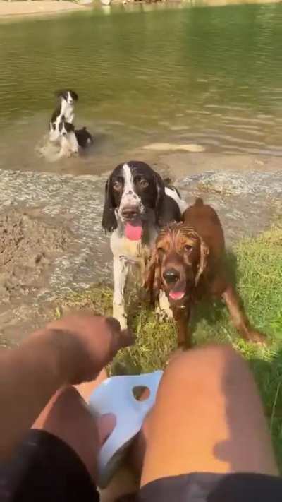 I thought I was training him to fetch. Turns out, he was training me to throw.