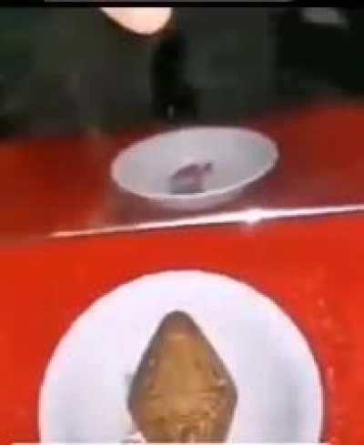 What on earth is this shi