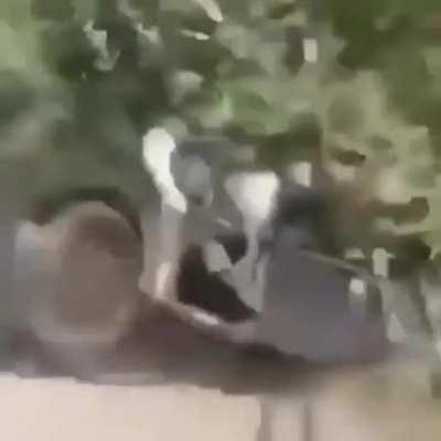 Igor has left the game! Vladimir has left the game