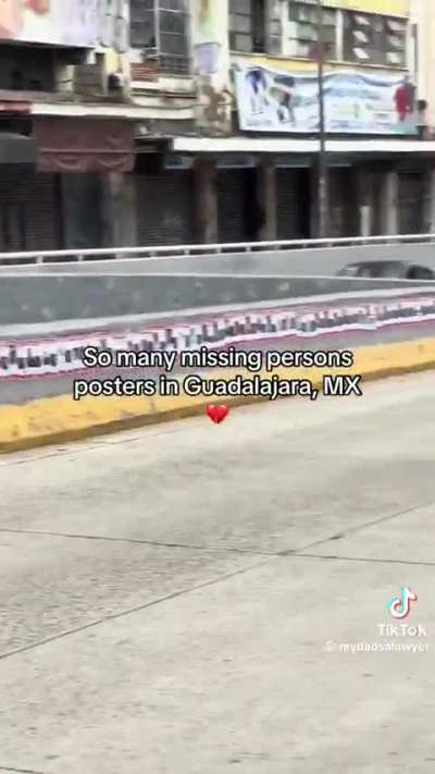 missing people posters in Guadalajara, Mexico (each poster is a different person)