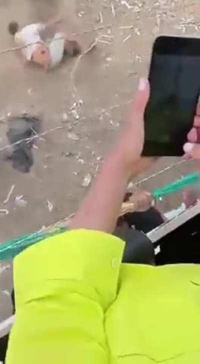 Brutal disfiguration 