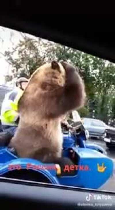 Russian bear puts things in order