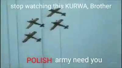 stop watching this mold brother